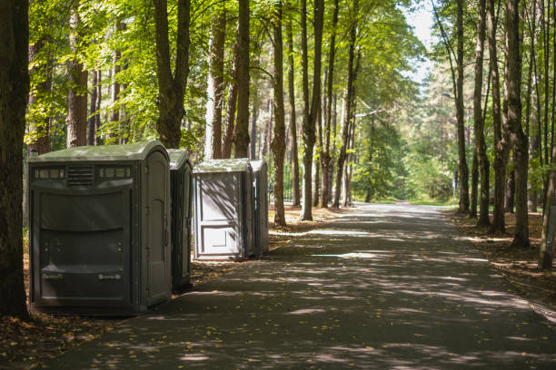 Best Portable bathroom rental  in Starbuck, MN